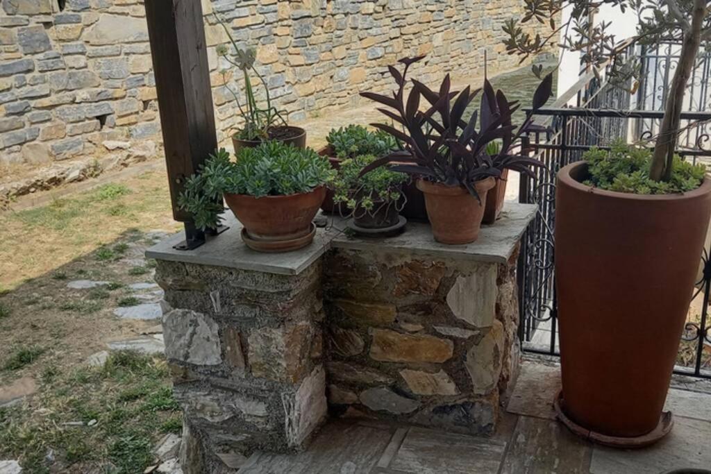 Pelion Cottage Miléai Exteriér fotografie